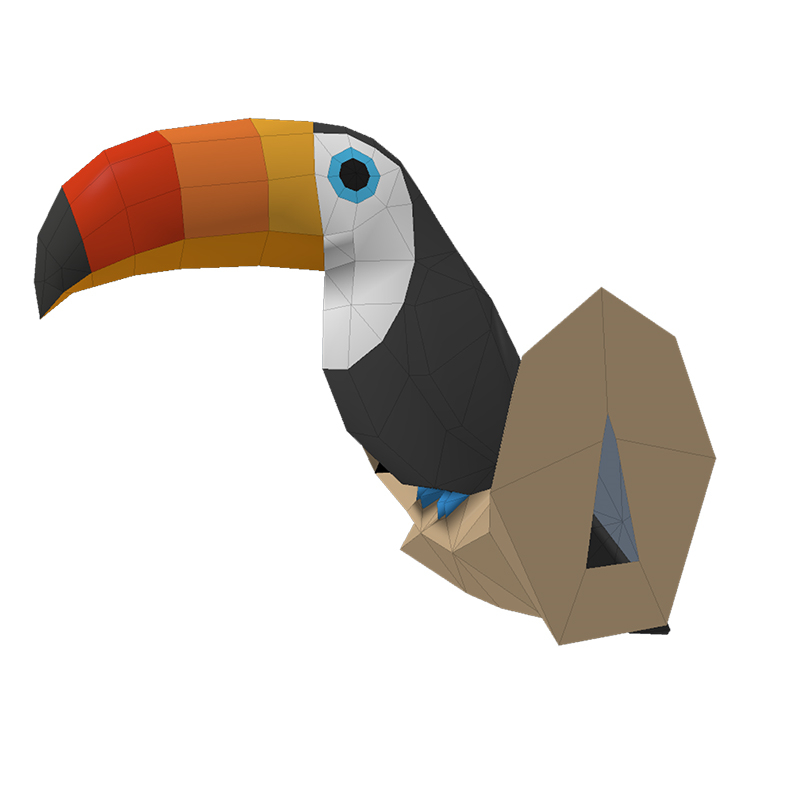 Toucan 3D papierowy Model papi – Kids Education Wallpaper recenzja i cena