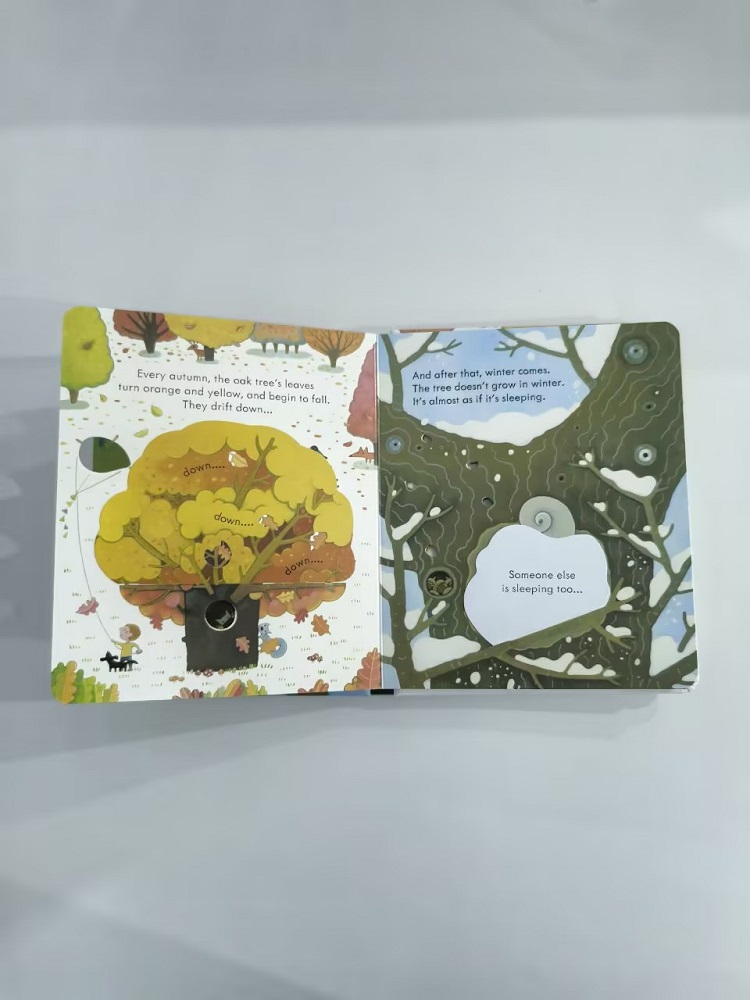 Usborne Podglądając wewnątrz d – Kids Early Education Books recenzja i cena
