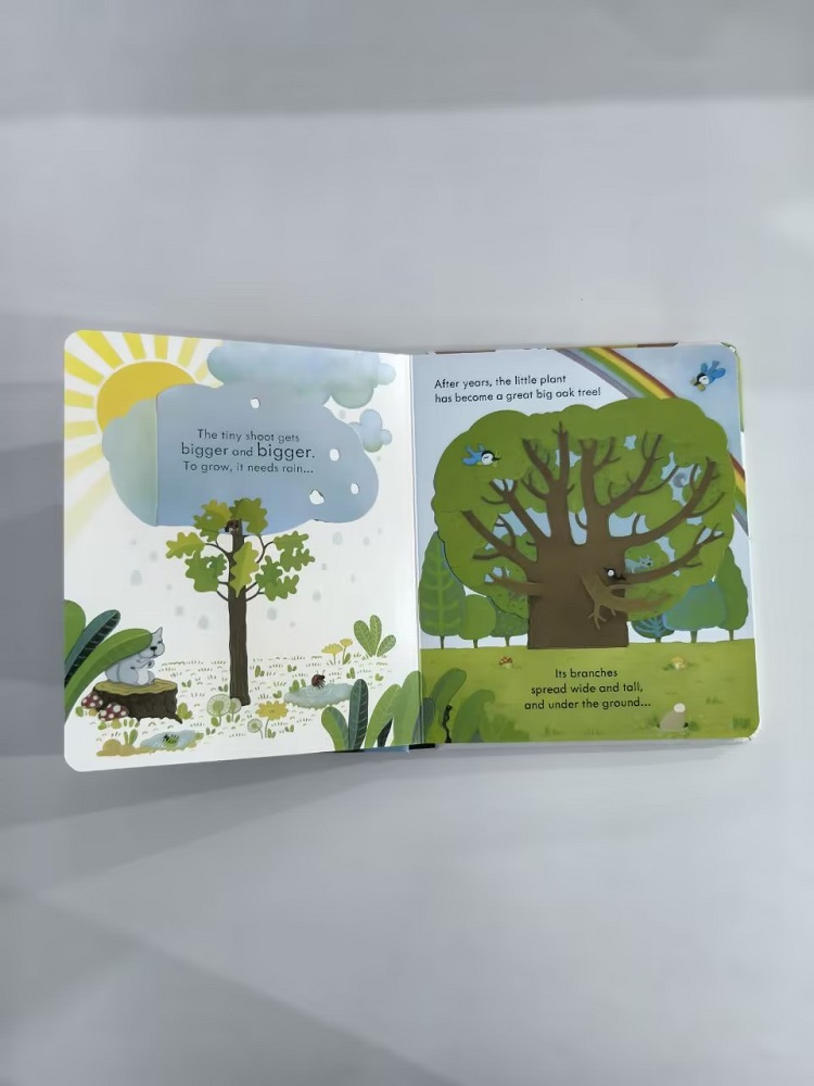 Usborne Podglądając wewnątrz d – Kids Early Education Books recenzja i cena